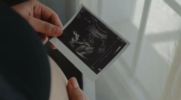 descoperire macabra politia a gasit cinci fetusi in casa unui activist anti avort