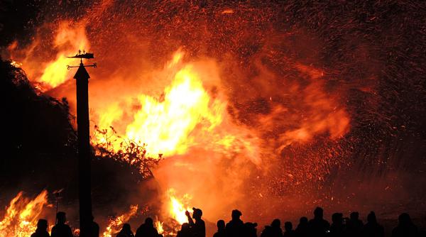 incendiu de vegetatie pe insula mica a brailei