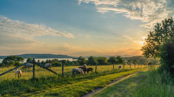 gabriel comanescu gsp semnal de alarma pentru romania asa am ajuns