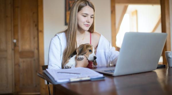 5 pasi de urmat inainte de a calatori cu cainele sau pisica in uniunea europeana