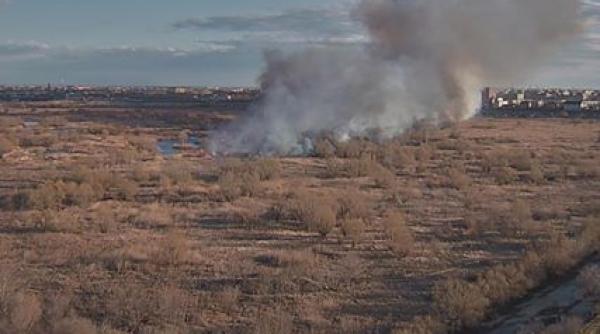 incendiu de vegetatie in delta vacaresti