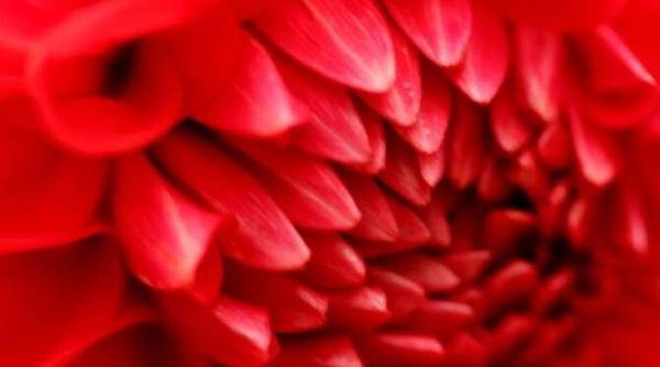 teoria celor trei mari iubiri in viata tu la a cata esti acum