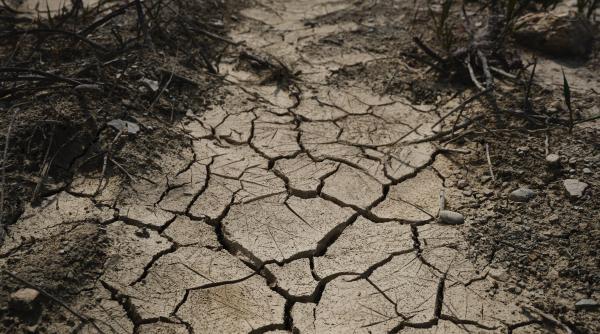 alarma onu pentru alimentatie si agricultura efectul crizei alimentare care ameninta sa copleseasca planeta