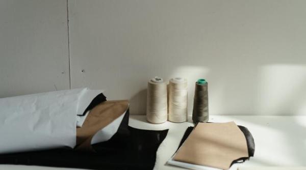 companiile din sri lanka aproape de colaps pe fondul crizei socio economice