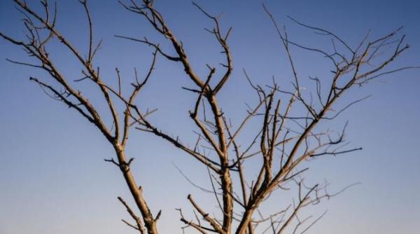 informare meteo de vreme deosebit de rece pentru toata tara informatii de ultima ora