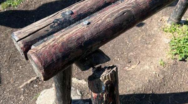 primaria timisoara amendata de catre protectia consumatorilor pentru nereguri gasite la locurile de joaca