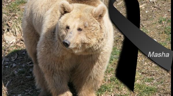 masha ursoaca salvata din ucraina a murit