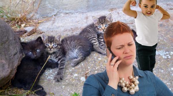 pui de pisica abandonati in sacosa un bobolino jucat in picioare o dama mama si un barbos cu inima de tabla