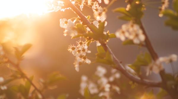 vremea pana la jumatatea lunii aprilie cand se incalzeste cu adevarat