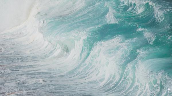 cel mai puternic cutremur din istorie a provocat un tsunami din chile pana in noua zeelenda