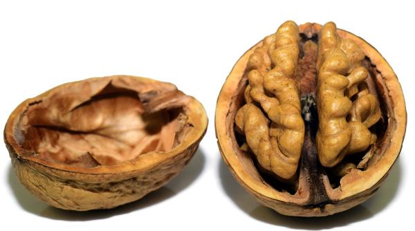 vrei sa ai o minte brici mananca nuci peste si supa de oase