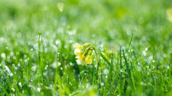 frig pana pe 25 aprilie iar apoi se va incalzi anm a publicat prognoza pentru urmatoarele patru saptamani