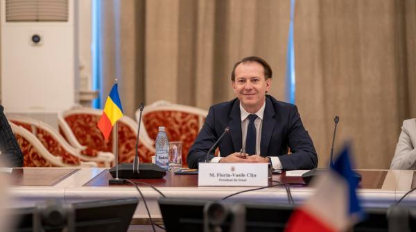 lucian bode florin citu ramane presedintele senatului cu sprijinul pnl