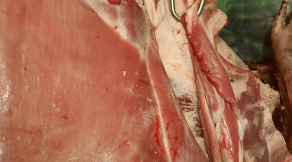 anpc a controlat hala obor si a dat amenzi de aproape 400 000 lei