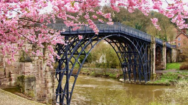 miros imbietor si spectacol de culoare in japonia au inflorit renumitii ciresi sakura video