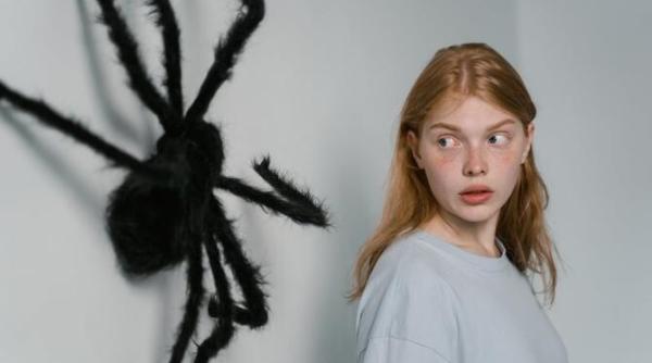 ti e frica de paianjeni iata cum te poti trata de arahnofobie