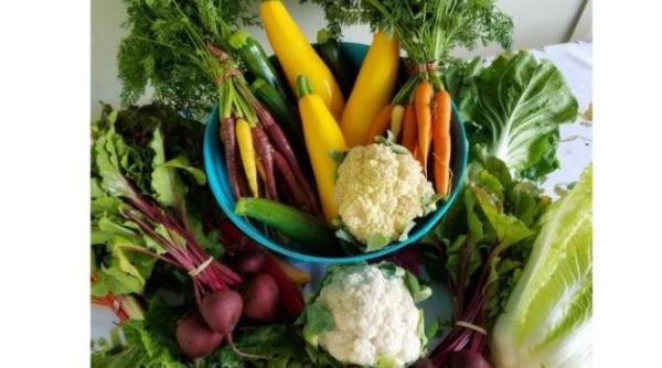 bate orice sursa de fibre e antianemic antioxidant imbunatateste digestia si amelioreaza circulatia