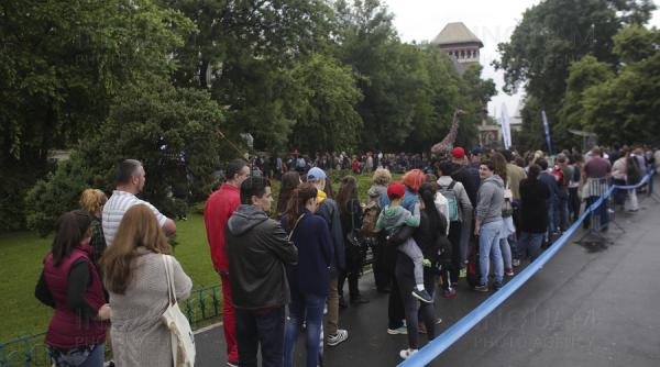 noaptea muzeelor la nivel national pe 14 mai