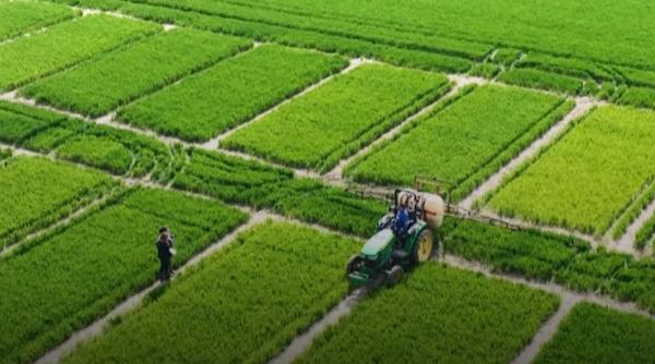 cercetatorii francezi au gasit solutia urina umana ar putea fi un ingrasamant eficient si mai putin poluant pentru culturi