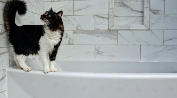 singura situatie in care dusul poate fi periculos pentru sanatate