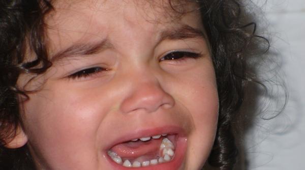 e oficial parintii au dreptul sa stea cu copilul la cresa timp de doua saptamani pentru acomodare