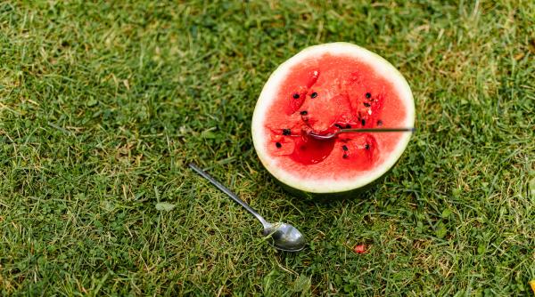 adevarul despre pepene cat si cum ar trebui consumat pentru a nu ne pune sanatatea in pericol