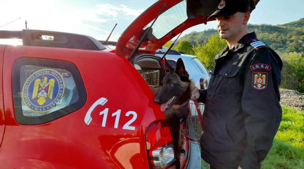 cine este aki noul membru special al isu cluj astfel de caini minune pot inlocui 20 30 de oameni in salvarea unei vieti galerie foto