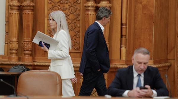 laura vicol despre propunerea lui danilet la ccr eu nu am vrut sa fac circ asa cum din pacate au incercat unii dintre cei din opozitie