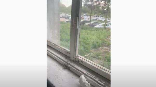 tarom institutie din subordinea ministerului transporturilor condus de grindeanu conditii de evul mediu pentru piloti si stewardese video