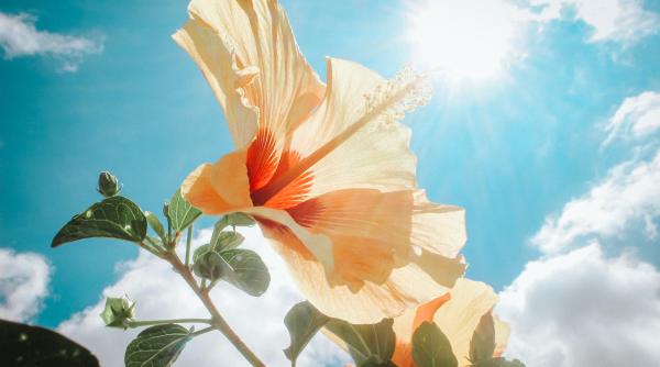 anm vremea pe 4 saptamani temperaturi ridicate ploi putine ne pregatim de vara