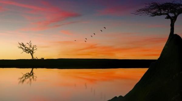 las vegas mai multe ramasite umane au fost descoperite in lacul care a secat la o saptamana dupa prima victima