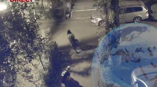 primele imagini cu criminalii din magurele in timp ce carau cadavrul italianului ucis