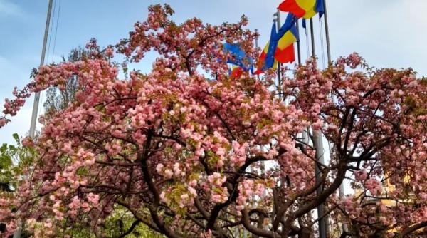 cluj explozie de culoare daca doresti o vizita aici poti vedea urmatoarele locuri de promenada si de relaxare galerie foto