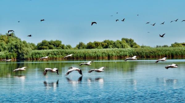 centrul celui mai mare bazin hidrografic din europa se afla in romania stiai unde se afla video