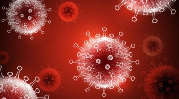 coronavirus coreea de nord 187 000 de persoane cu febra izolate si sub ingrijiri sase morti