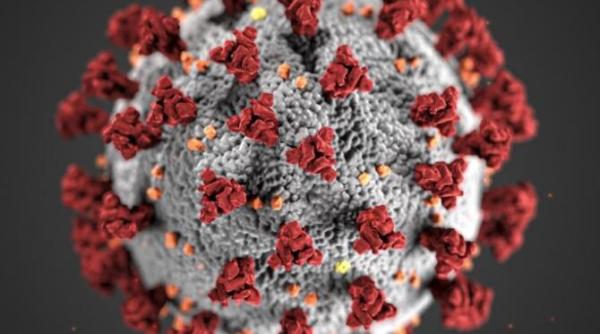 covid 19 face ravagii in coreea de nord regimul recunoaste boala drept febra