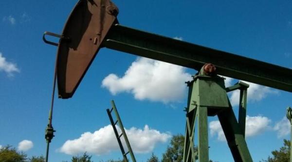 productia de titei din romania a scazut comparativ cu anul trecut