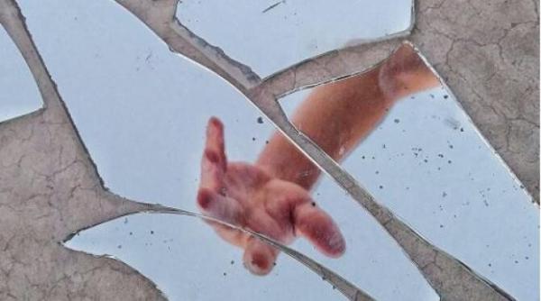 obiecte care atrag nenorocirea in casa toata lumea le are