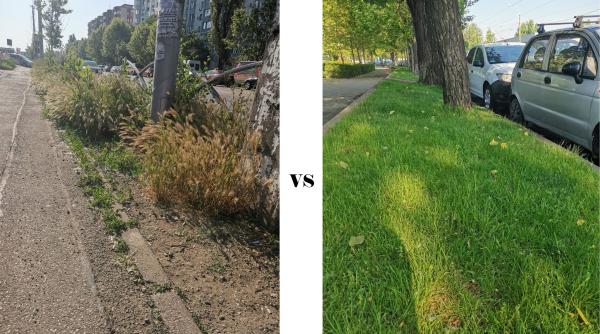 bucurestiul sectorului 2 vs bucurestiul sectorului 3 la o trecere de pietoni distanta primarul usr zicea ca omul sfinteste locul sigur dar care om