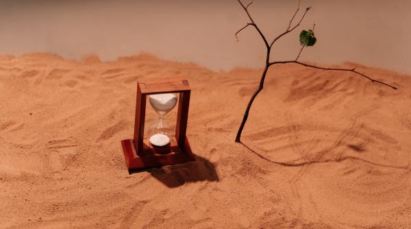 mintea si corpul se regenereaza la fiecare 7 ani