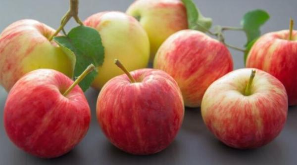 rulada elvetiana cu mere un deliciu culinar rapid delicios si usor placinta traditionala ramane amintire