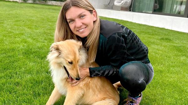 simona halep la 100prc inainte de roland garros ce credea despre mouratoglou inainte sa lucreze cu el