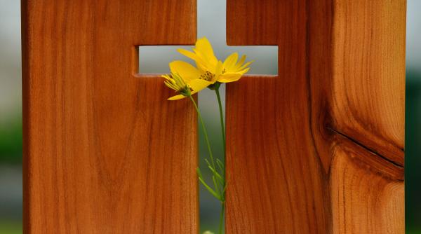 calendar crestin ortodox sarbatoare 18 mai 2022