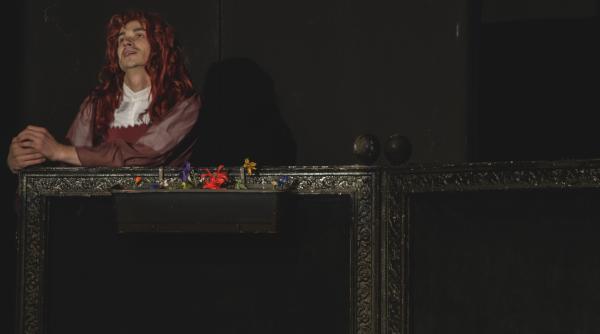 operele lui william shakespeare pe scurt spectacol cadou de la teatrul national radu stanca din sibiu