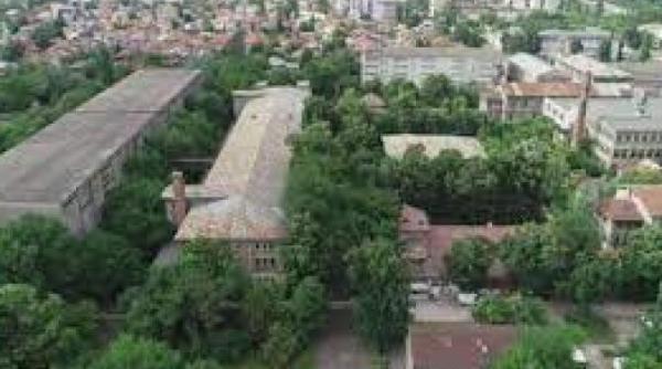 sif banat crisana cumpara terenul de la tutunul romanesc din regie