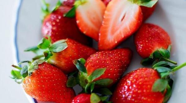 pastrati capsunele proaspete mai multe zile sfaturile gradinarilor cu experienta au fost dezvaluite