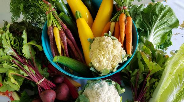 leguma pe care nu ai voie sa o mananci seara e extrem de sanatoasa dar e bine s o eviti dupa apusul soarelui