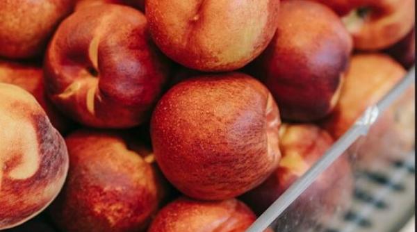 pune un burete in frigider un truc simplu care te va surprinde rezultatul este simplu si genial