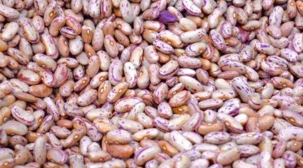 cum sa fierbi fasolea foarte repede incearca acest truc dezvaluit de bucatarii cu experienta