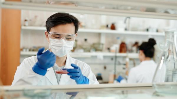 infectarile sars cov 2 sunt in scadere fata de ziua precedenta